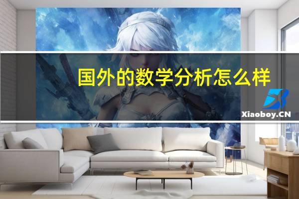 国外的数学分析怎么样