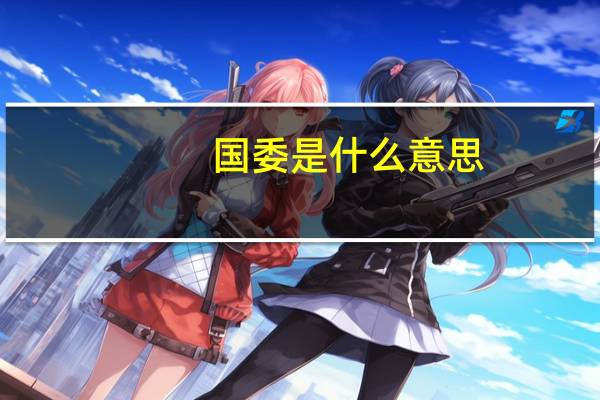 国委是什么意思