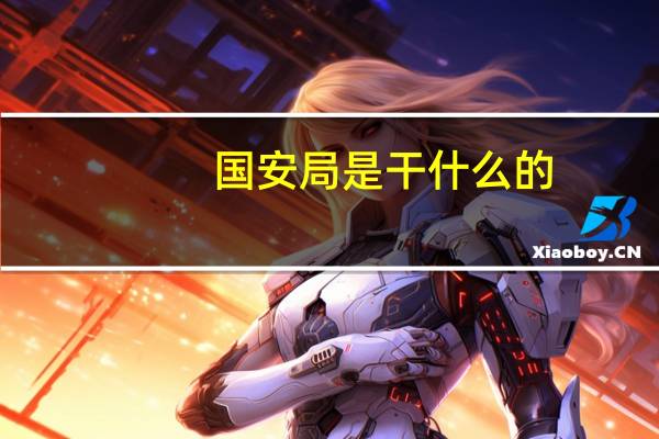 国安局是干什么的