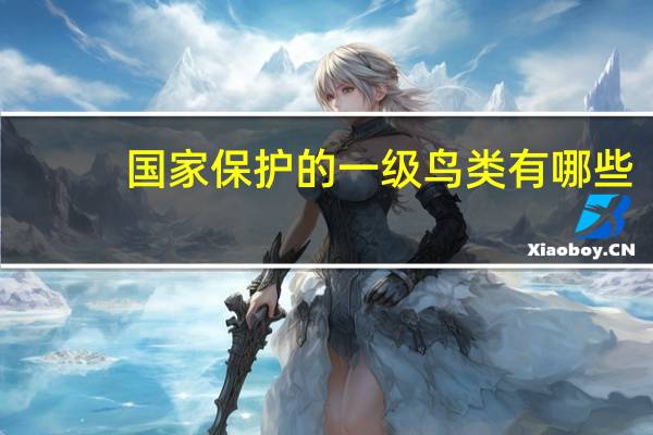 国家保护的一级鸟类有哪些