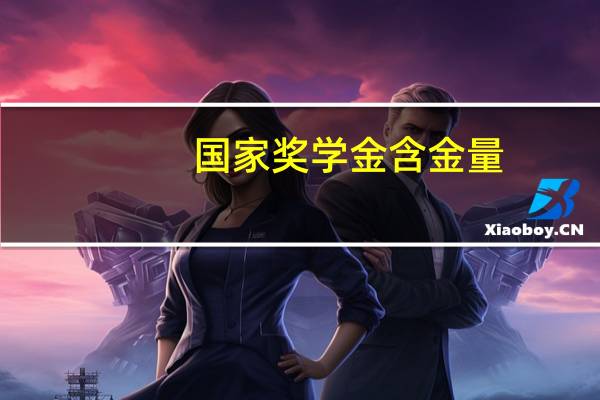 国家奖学金含金量