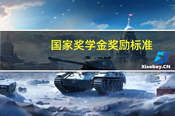 国家奖学金奖励标准