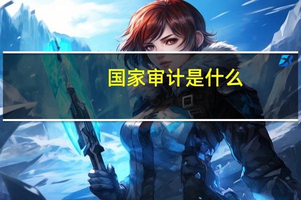 国家审计是什么