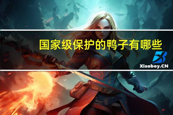 国家级保护的鸭子有哪些