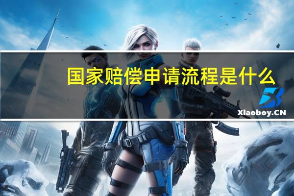 国家赔偿申请流程是什么