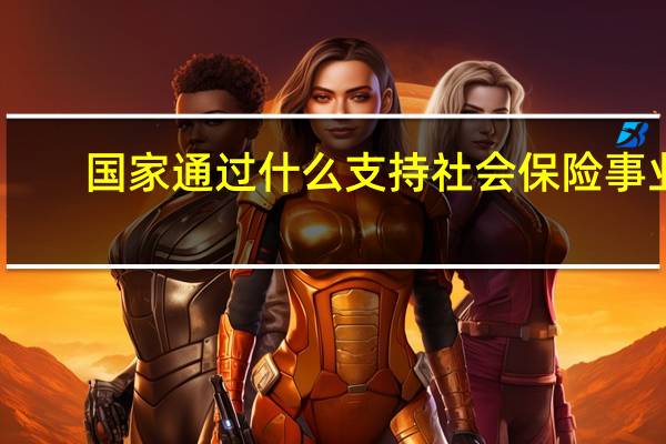 国家通过什么支持社会保险事业