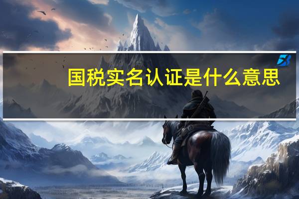 国税实名认证是什么意思