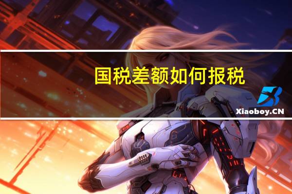 国税差额如何报税