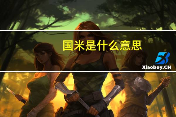 国米是什么意思