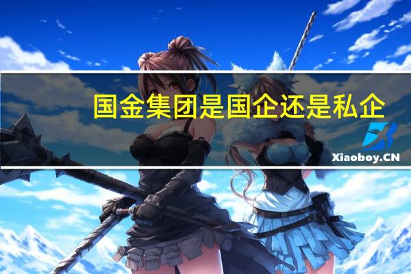 国金集团是国企还是私企