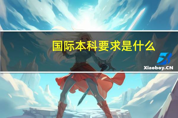 国际本科要求是什么