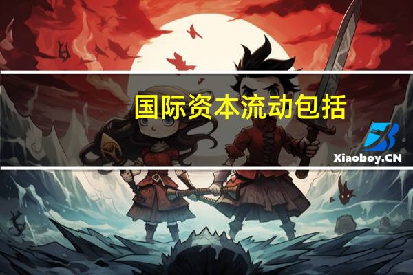 国际资本流动包括