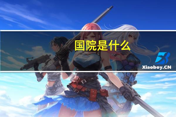 国院是什么