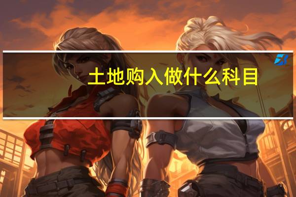 土地购入做什么科目