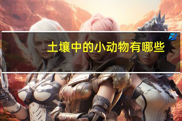土壤中的小动物有哪些