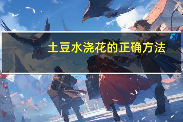 土豆水浇花的正确方法