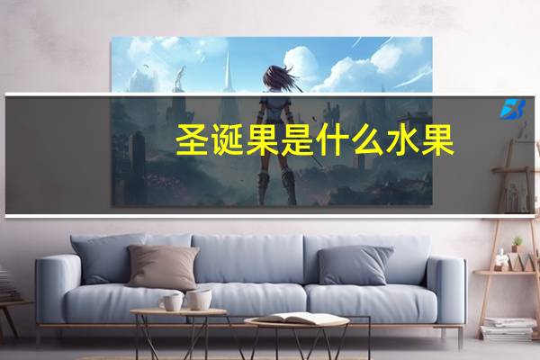 圣诞果是什么水果