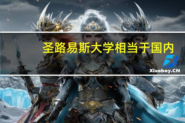 圣路易斯大学相当于国内