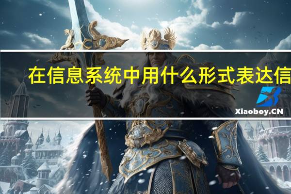 在信息系统中用什么形式表达信息