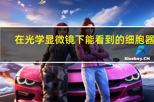 在光学显微镜下能看到的细胞器有: