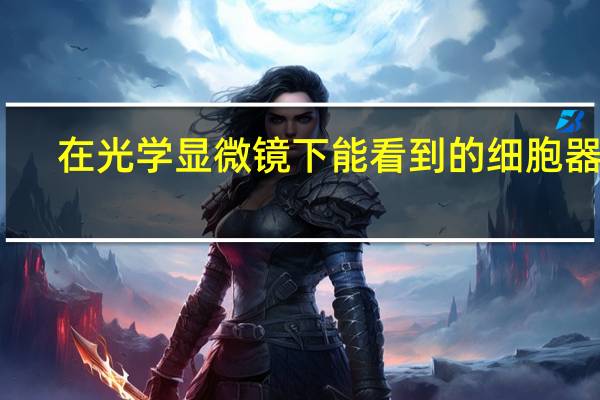 在光学显微镜下能看到的细胞器有：