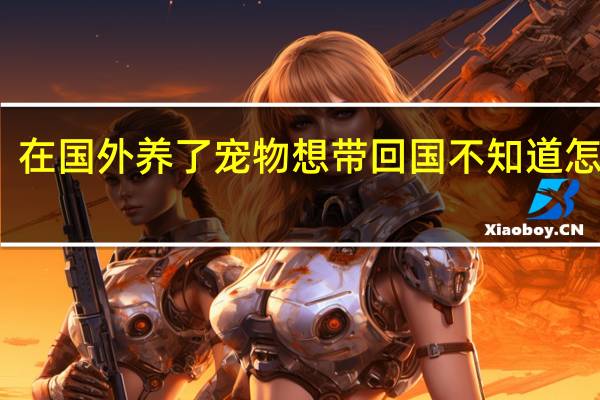 在国外养了宠物想带回国不知道怎么弄