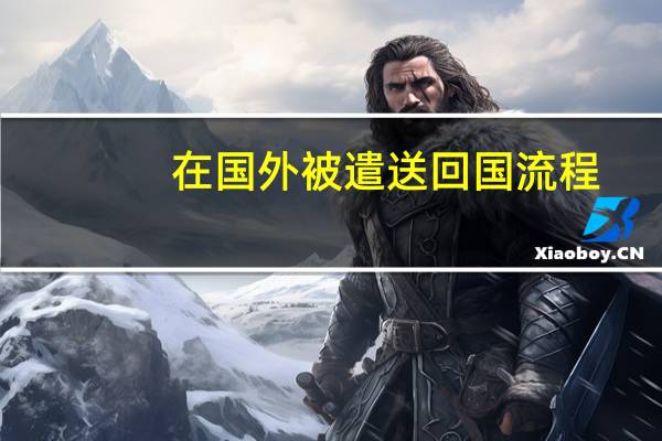 在国外被遣送回国流程