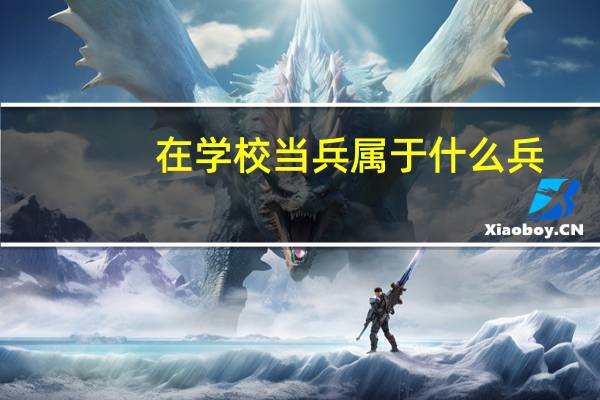 在学校当兵属于什么兵