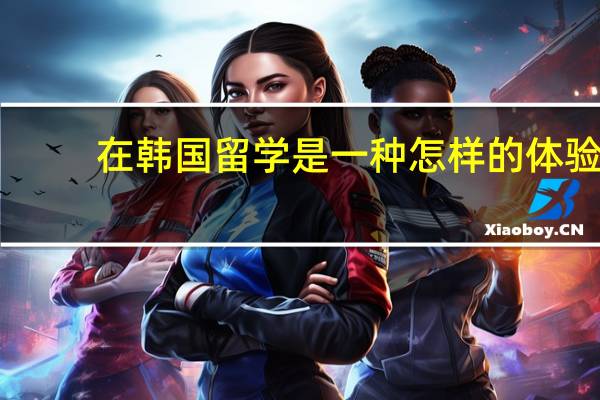 在韩国留学是一种怎样的体验