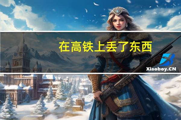 在高铁上丢了东西