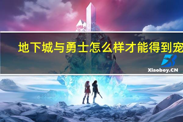 地下城与勇士怎么样才能得到宠物