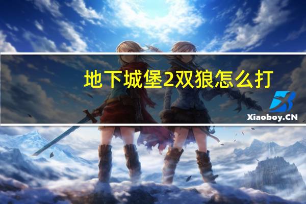 地下城堡2双狼怎么打
