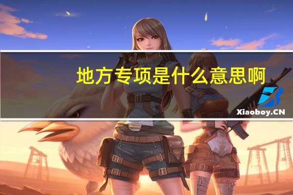 地方专项是什么意思啊