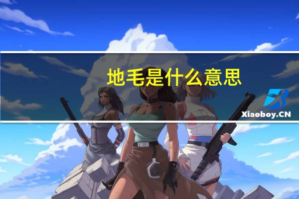 地毛是什么意思