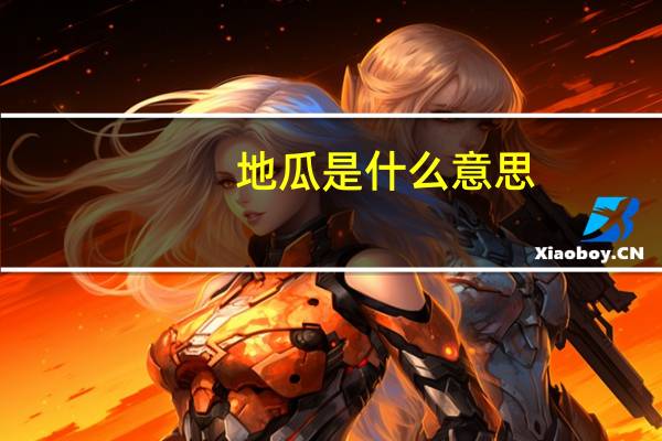 地瓜是什么意思