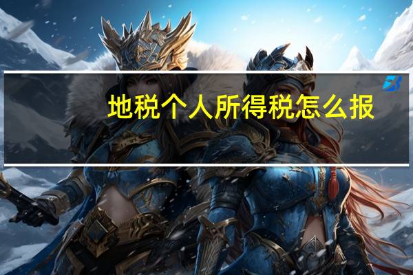 地税个人所得税怎么报