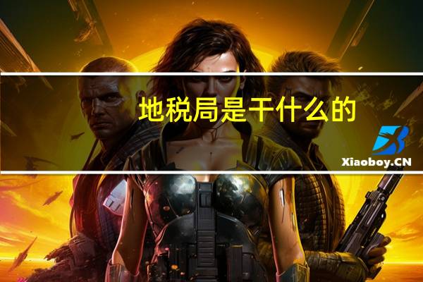 地税局是干什么的