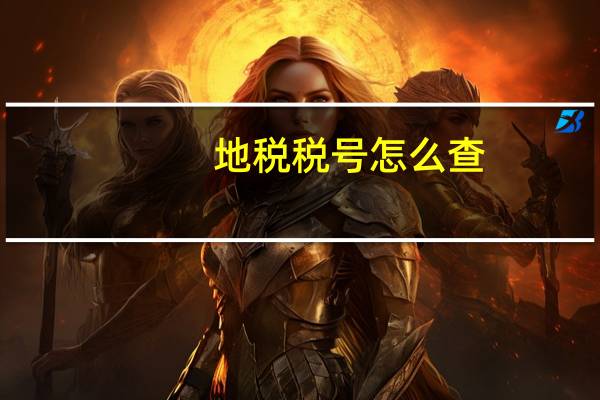 地税税号怎么查