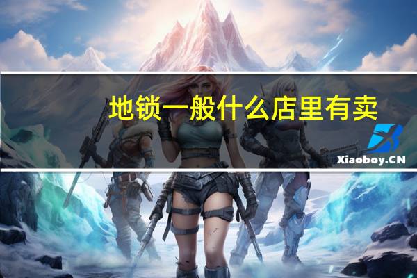 地锁一般什么店里有卖
