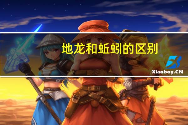 地龙和蚯蚓的区别