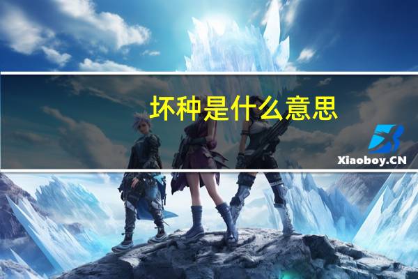 坏种是什么意思