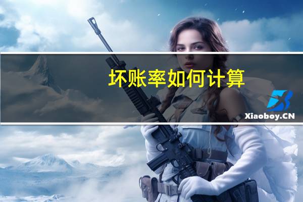 坏账率如何计算