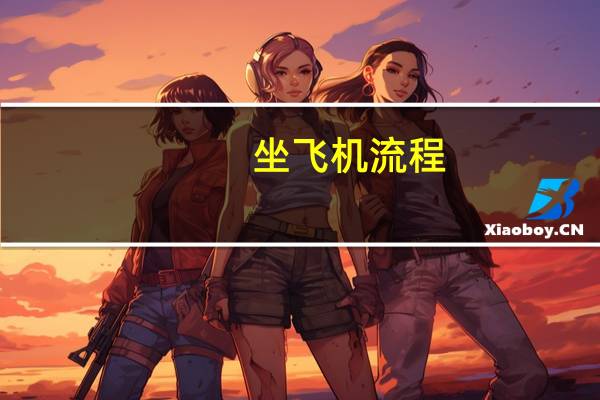坐飞机流程