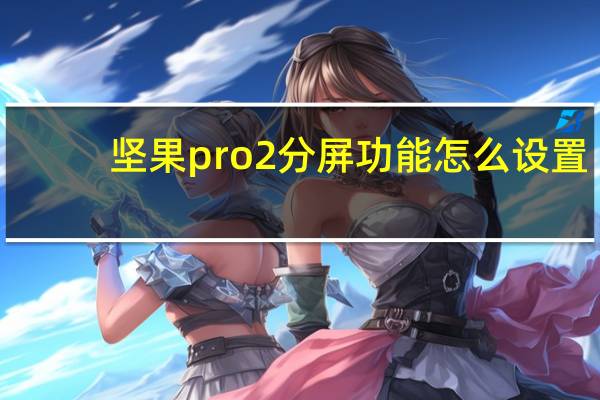 坚果pro2分屏功能怎么设置
