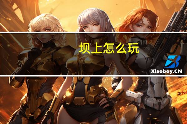 坝上怎么玩