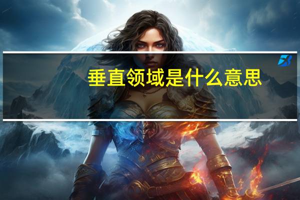 垂直领域是什么意思