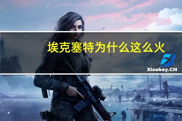 埃克塞特为什么这么火