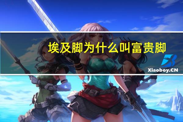 埃及脚为什么叫富贵脚