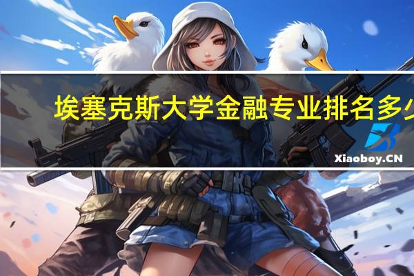 埃塞克斯大学金融专业排名多少