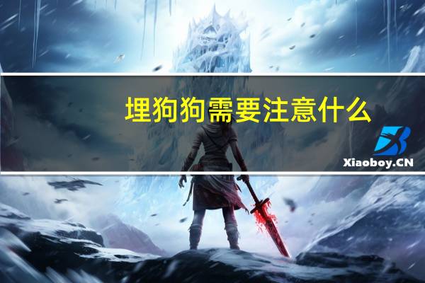 埋狗狗需要注意什么